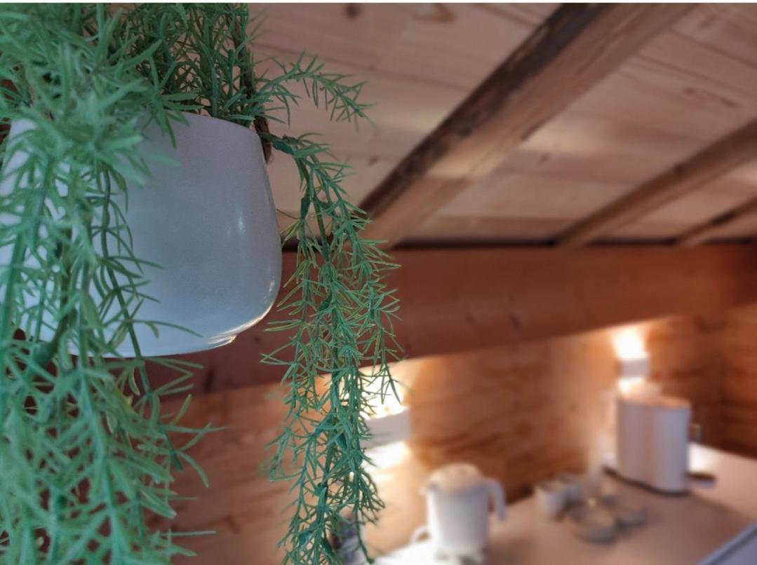 Chambre Boille A Lait Entremont Exterior photo